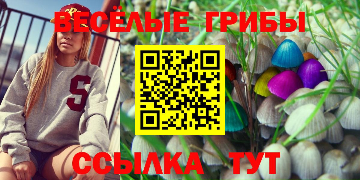 Псилоцибиновые грибы прущие грибы Барнаул