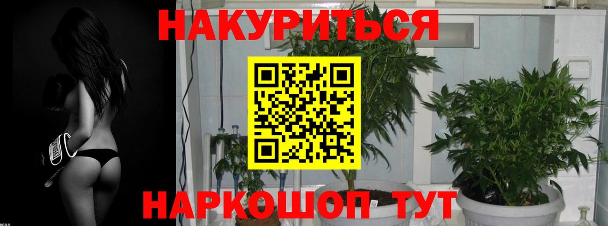 Бошки Шишки White Widow  Конопля марихуана  Барнаул  Вход с VPN 